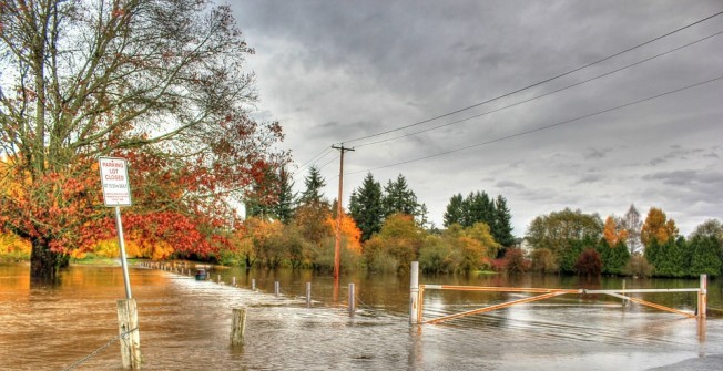 Flood Reaction in Broad Oak
