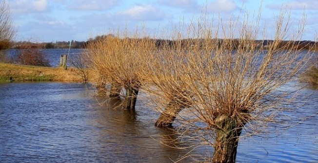 Flood Detector in Aberbargoed